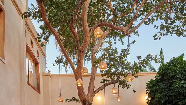 A courtyard with a tree, a round table, and hanging lights.
