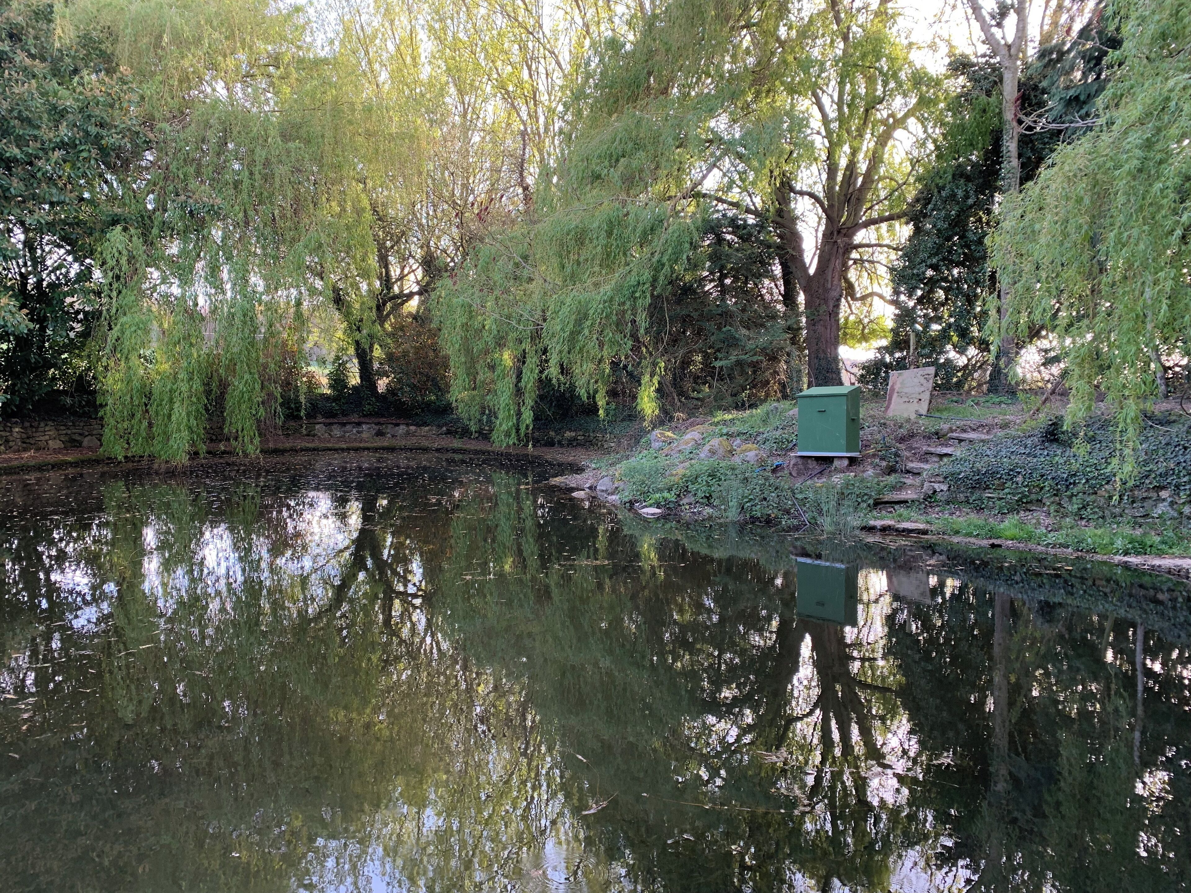 Ein ruhiger Fluss mit Bäumen, die sich im Wasser spiegeln, eine Steinmauer und ein grüner Verteilerkasten.