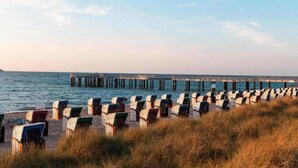 A beach with rows of beach chairs and a pier extending into the water.