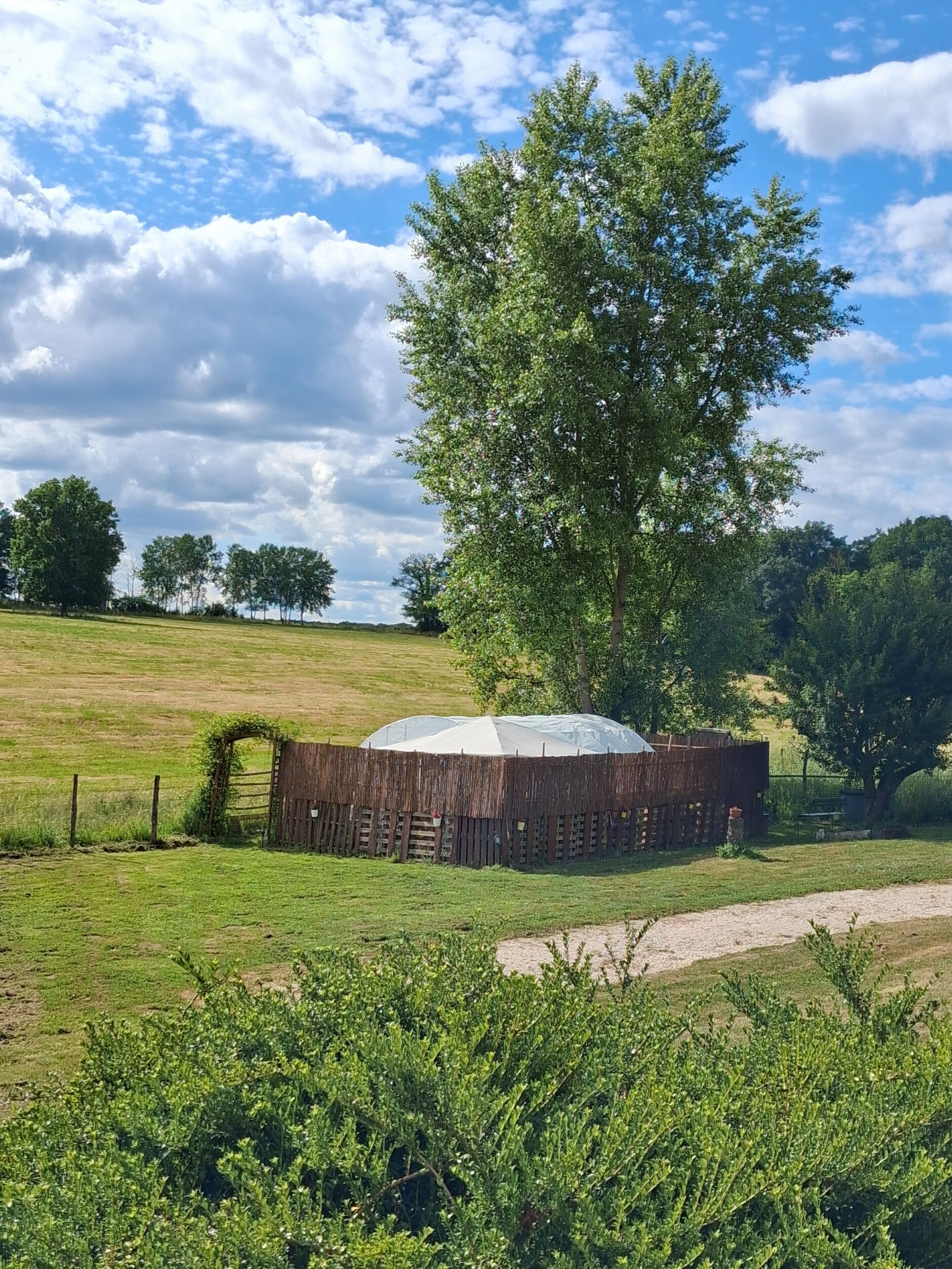 Une structure rustique en bois, avec un grand arbre en arrière-plan, entourée d’un champ herbeux.