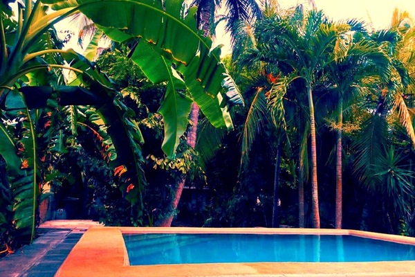 Outdoor pool, pool umbrellas