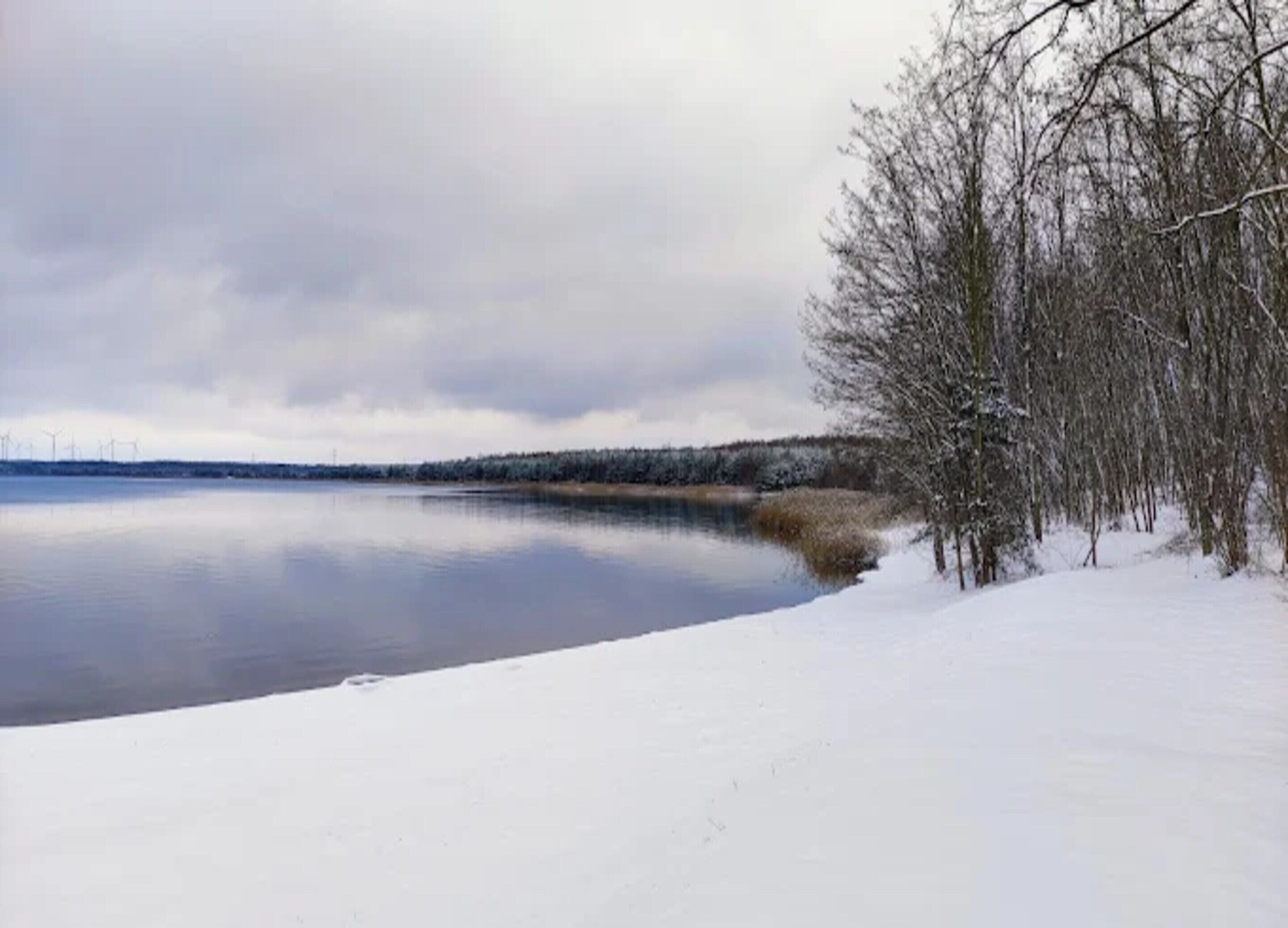 A snowy landscape with a calm lake, leafless trees, and distant wind turbines.