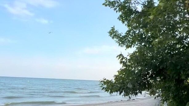 Ein Strand mit felsigem Ufer, ruhigem Wasser und klarem Himmel.