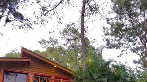 A wooden cabin with a balcony, surrounded by lush greenery and a stone wall.