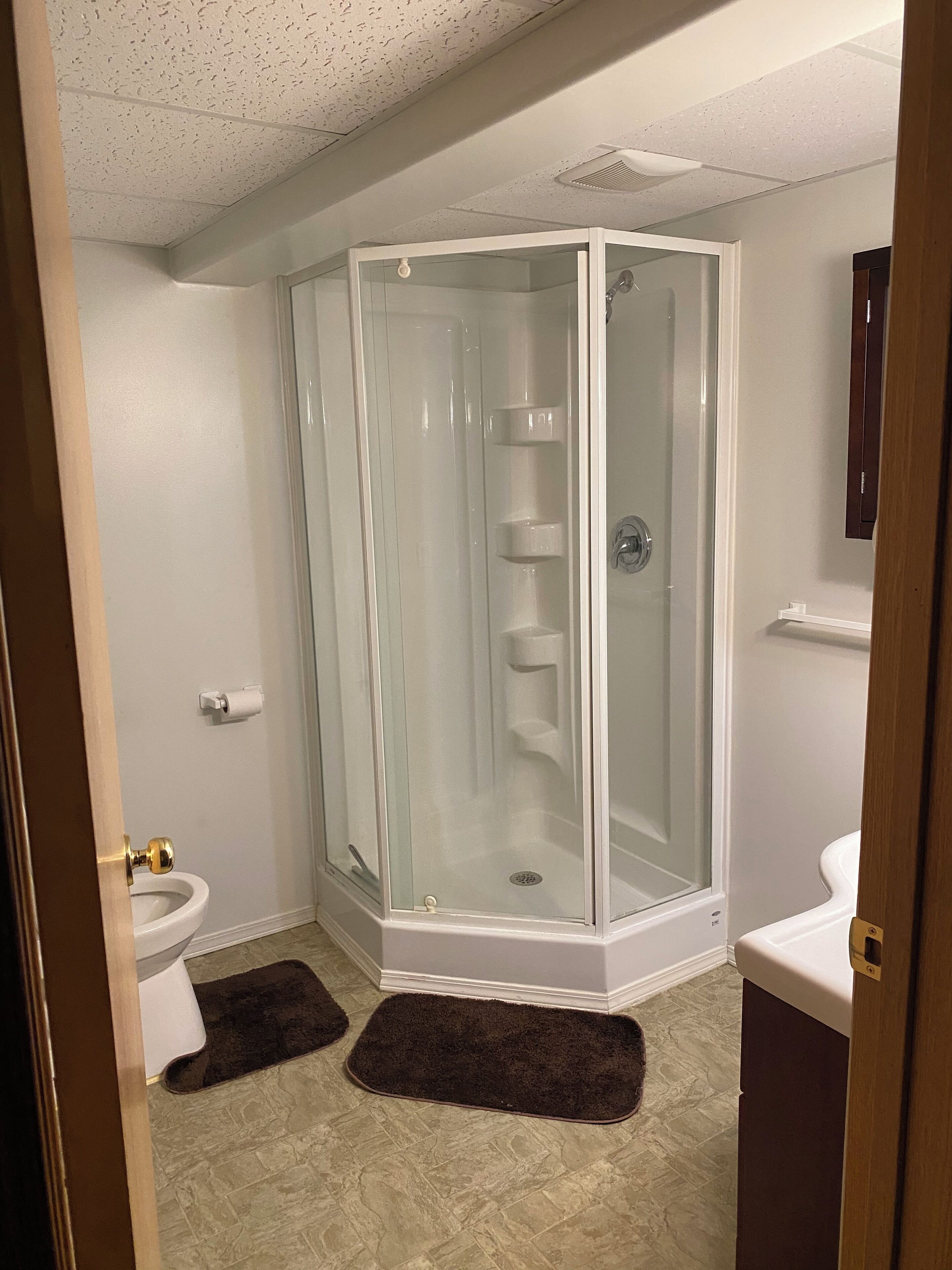 Shower, towels, toilet paper