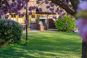 Property grounds - Vacation apartment half-timbered house "Westen unten" - Bauernhof Hopp (Fehmarn)