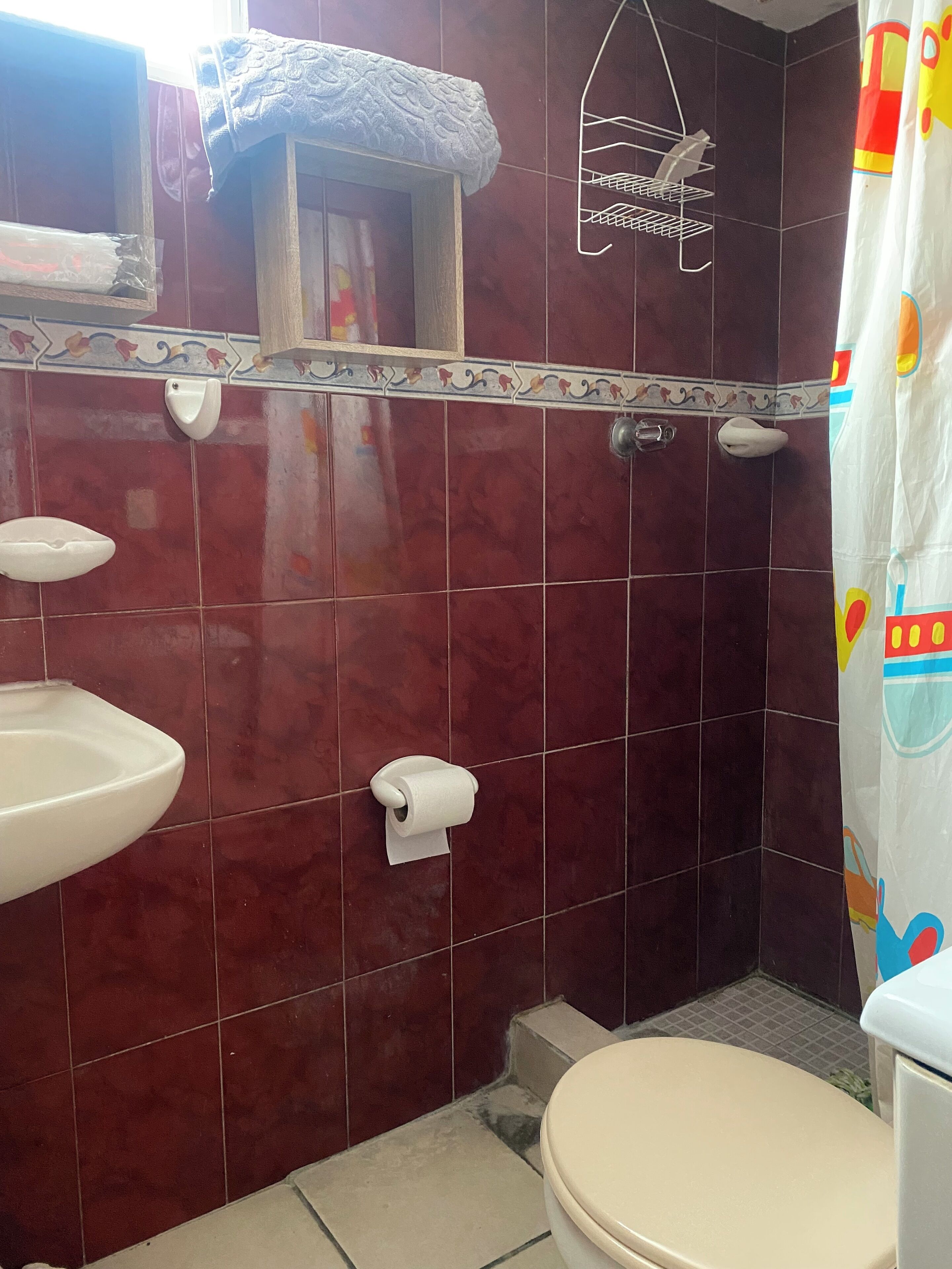 Towels, soap, toilet paper