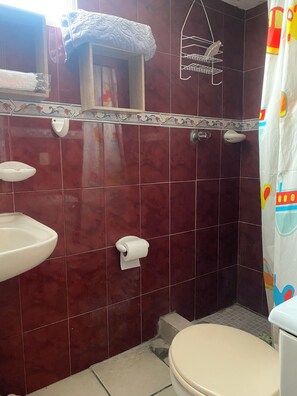 Towels, soap, toilet paper - Cozy 1-bedroom apartment with WiFi, AC in charming San Salvador (San Salvador)