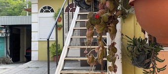 Cozy 1-bedroom apartment with WiFi, AC in charming San Salvador