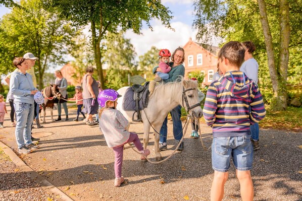 A group of people, including children, interacting with a horse on a paved path in a park. - Country house vacation apartment 1 - Bauernhof Hopp Vadersdorf (Fehmarn)