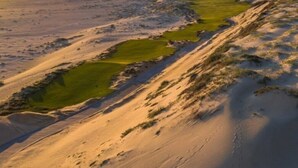 Een woestijnlandschap met zandduinen en groene begroeiing.