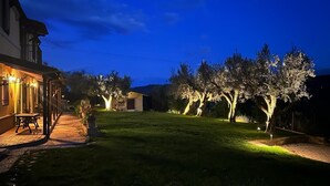 Un espacio exterior bien iluminado con un camino pavimentado, una pequeña mesa y sillas, y varios árboles iluminados por luces en el suelo.