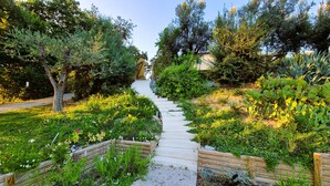 Un sendero de jardín que conduce a una estructura de madera rodeada de exuberante follaje y diversas plantas.