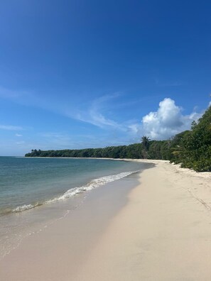 Enjoy a serene beach experience surrounded by lush greenery and calm waters.