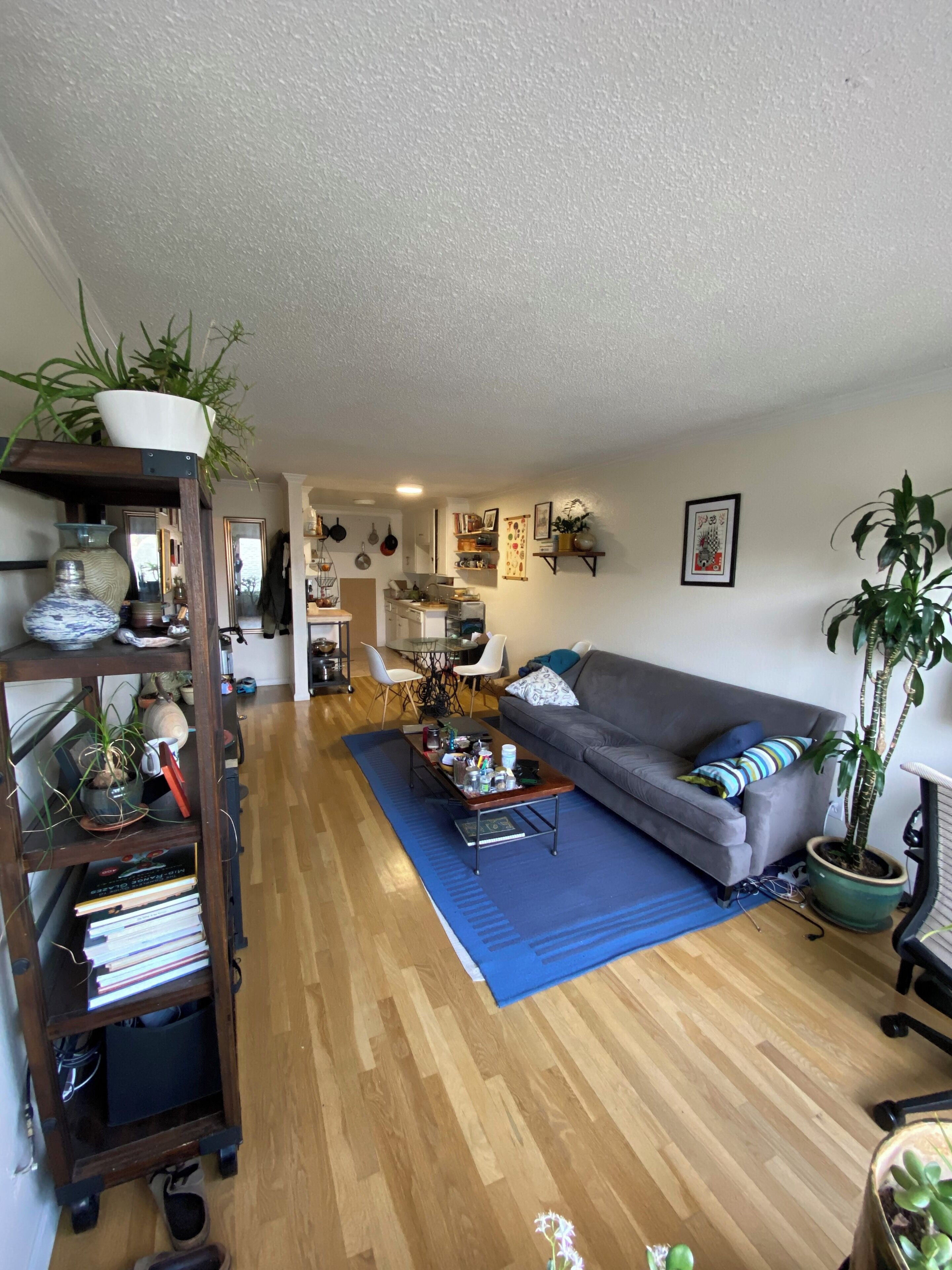 TV, computer monitors