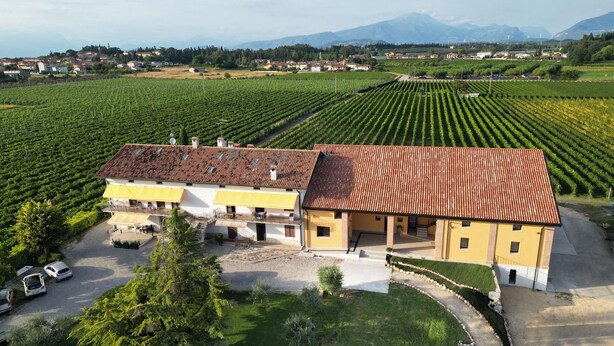 Un edificio grande con facciata gialla e tetto in tegole rosse, circondato da campi di vigneti e uno sfondo montuoso.