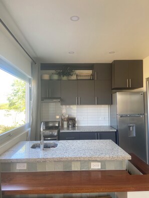 Oven, stovetop, coffee/tea maker, electric kettle - Ocean Side Modern Tiny Home in Beach Paradise with Resort Amenities (Managua)