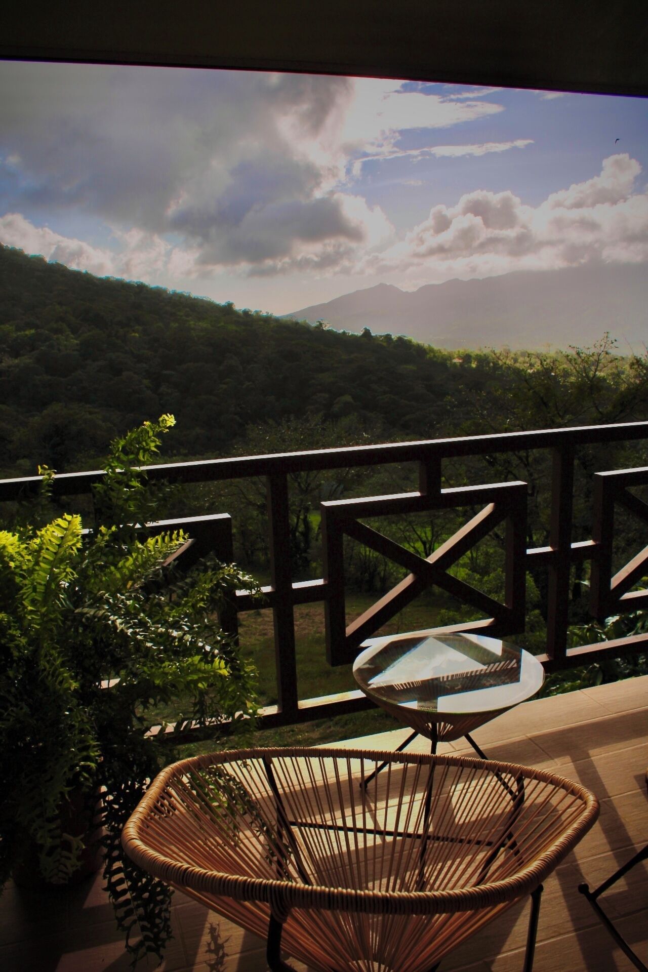 Bungalow Tucán | View from room