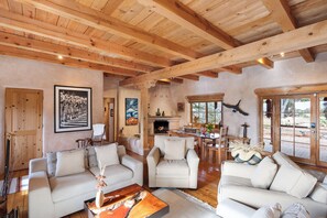 Smart TV, fireplace, books