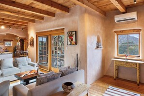 Smart TV, fireplace, books