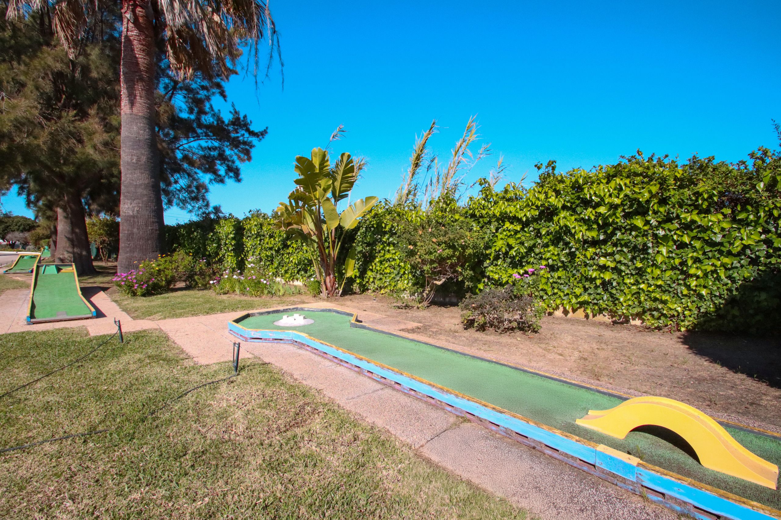 A miniature golf course with a green putting green, a yellow ramp, and a blue safety border.
