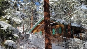 Een chalet omringd door met sneeuw bedekte bomen en een helderblauwe lucht.