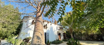 Choose a family vacation rental in Morondava!