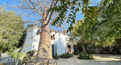 Optez pour une location de vacances en famille Ă Morondava!