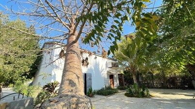 Choose a family vacation rental in Morondava!