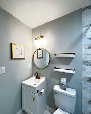 シャワー、ヘアドライヤー、タオル、トイレットペーパー