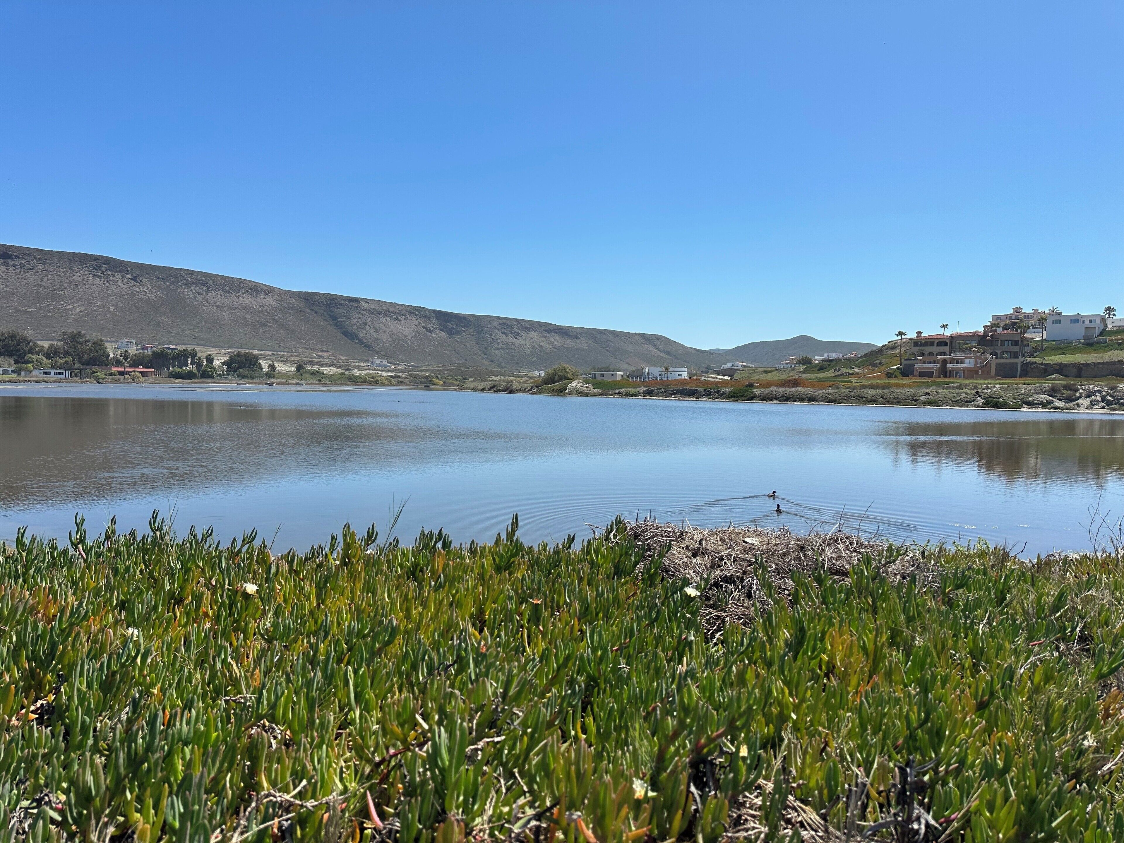 A lake with a clear sky, surrounded by hills and a few buildings in the distance.