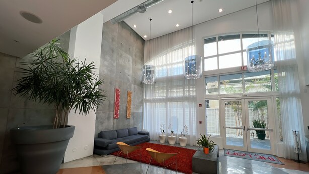 A modern lobby with a grey sofa, a large potted plant, and a red rug.