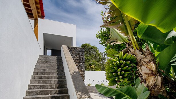 Una scala conduce a un edificio moderno con un muro in pietra e una pianta di banano.
