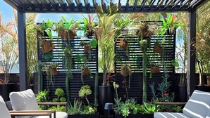 Un espace extérieur moderne, aménagé avec des chaises blanches dotées de coussins, une table en verre et une variété de plantes en pot.