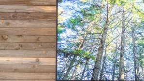 Une pièce avec un mur en bois et une grande fenêtre donnant sur une forêt. On y trouve un canapé en cuir marron avec deux coussins, l’un à motifs géométriques et l’autre uni, de couleur marron.