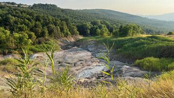 A natural landscape with a river, rocky terrain, and dense forest.