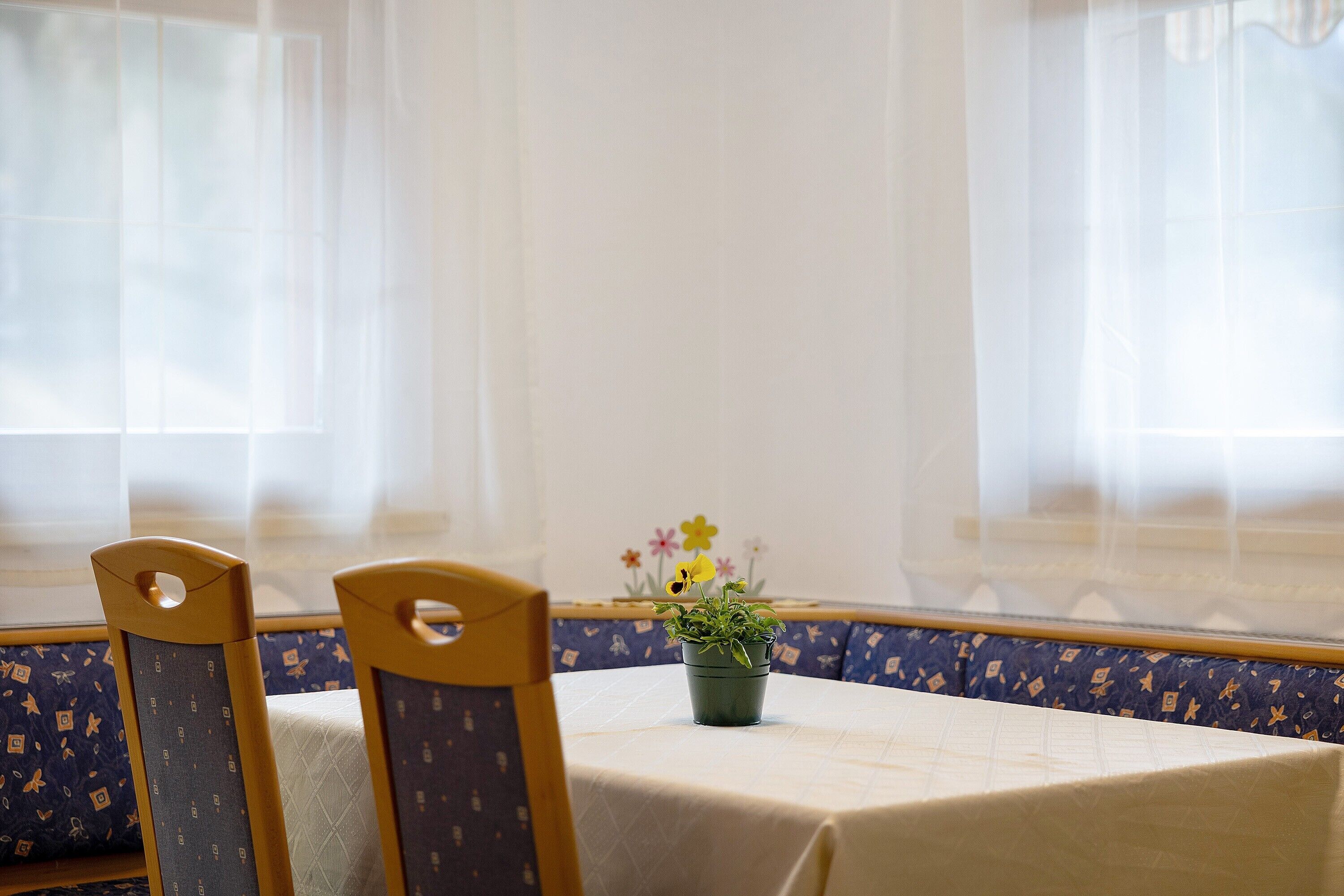 Uma sala de jantar com uma mesa, cadeiras e um vaso de planta.
