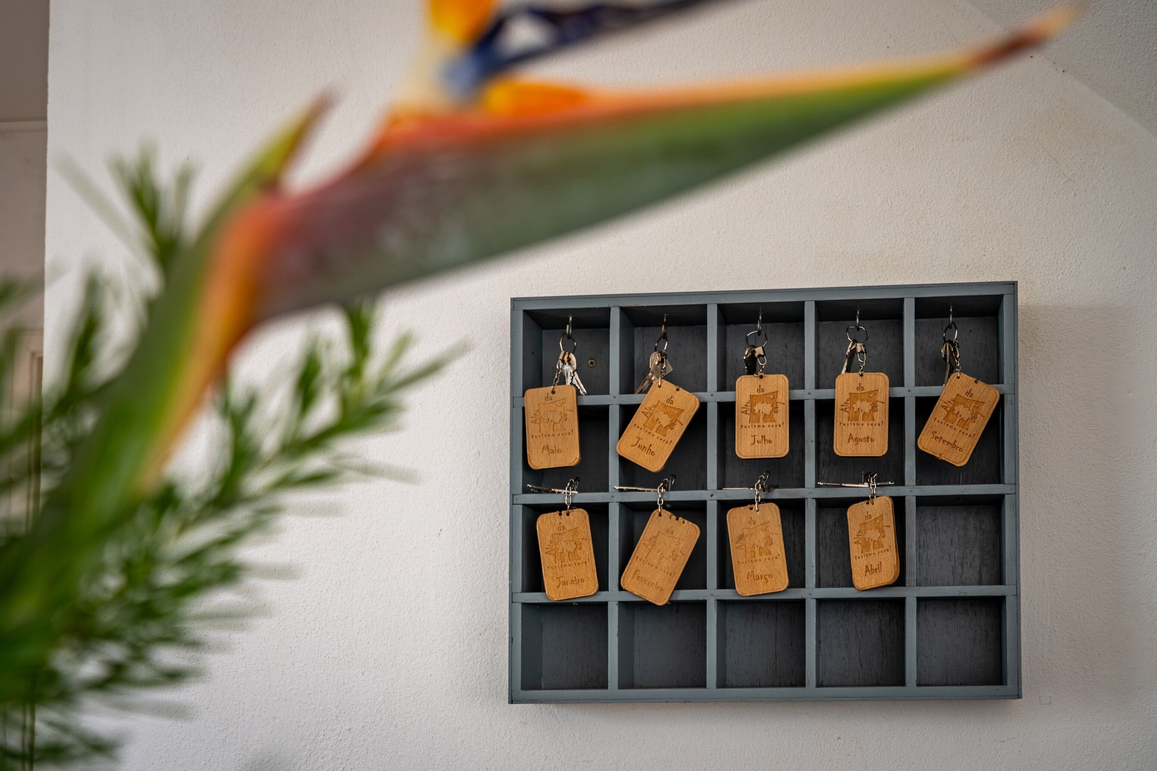 A wall-mounted key holder with multiple keys and a decorative bird.