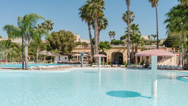 Une piscine aux eaux cristallines, dotée de chaises longues et bordée de palmiers.