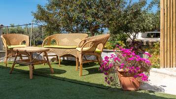 Parco della struttura