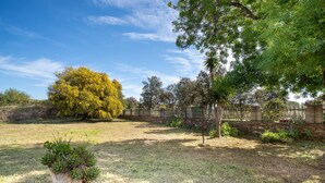 A grassy outdoor area with a stone wall, a tree with yellow leaves, and a potted plant.