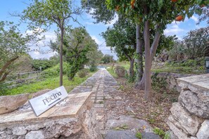 Áreas de la propiedad