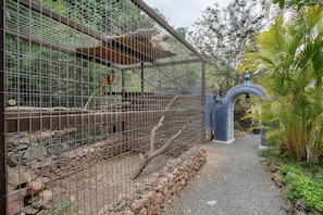 A bird enclosure with a wire mesh, a stone pathway, and a decorative blue archway. - 'Studio Cuba' with Shared Pool, Shared Terrace and Wi-Fi (San Bartolomé de Tirajana)