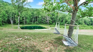 A hammock swing attached to a tree in a grassy area with a pond and forest in the background.