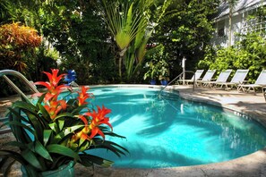 Pool - Large Penthouse suite in the charming Bayan Resort in beautiful Key West (Key West)
