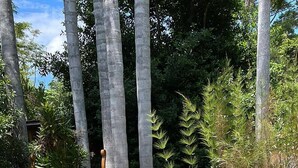 Een tuin met een vijver, rotsen en een standbeeld.