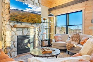 Smart TV, fireplace, video games, books