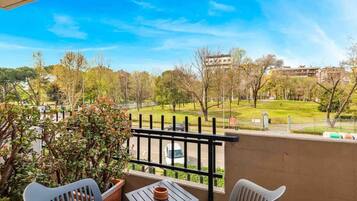 Luksusstudiosviitti, parveke, näköala puistoon | Näkymä parvekkeelta