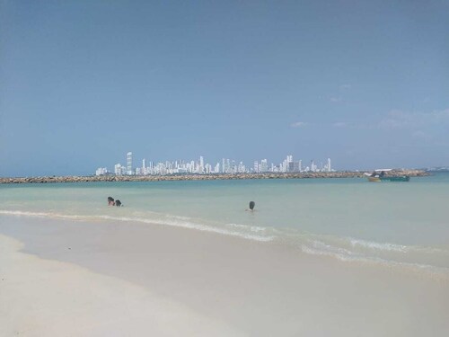 Earth bomb Susurros del Mar Cabin