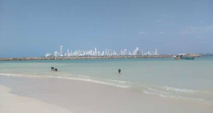 Earth bomb Susurros del Mar Cabin